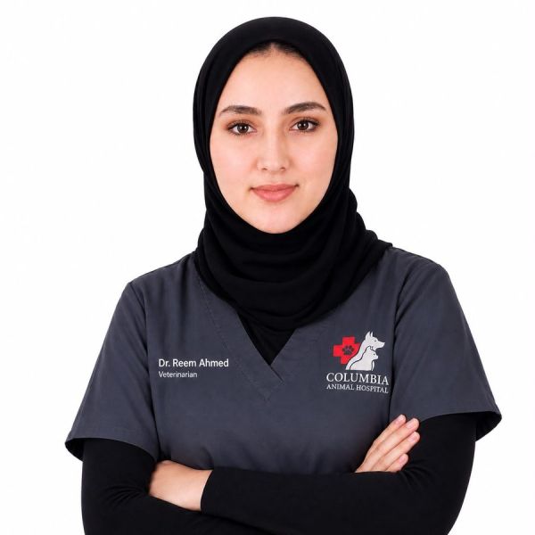 د. ريم أحمد